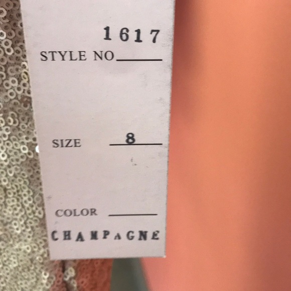 Barijay champagne sequins - Picture 3 of 3